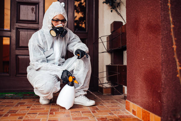 Reliable Ant Control contractor in Spencer, NC by Nex Pest Control